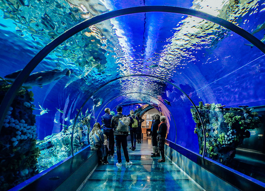l'aquarium barcelona spain