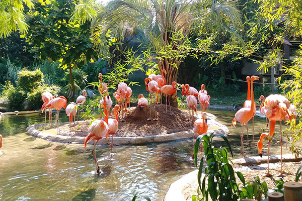 zoo